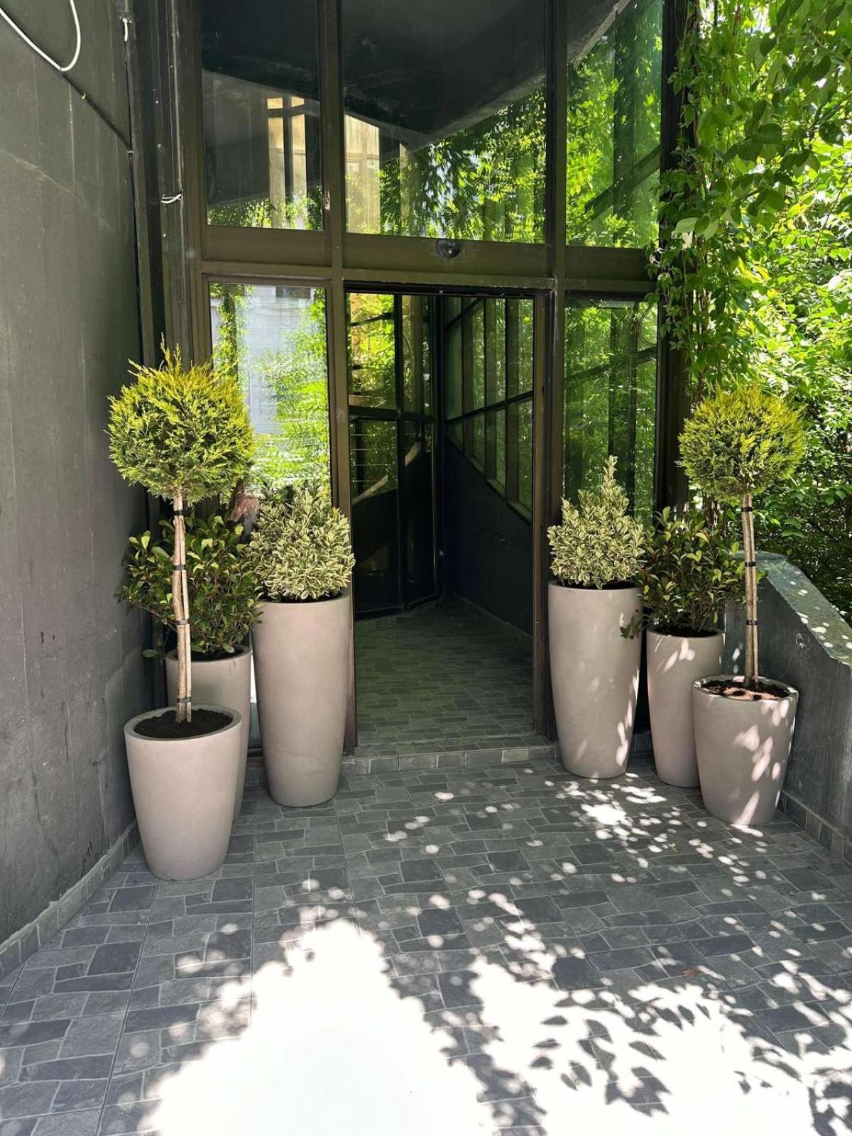 Avangarda Apartment *